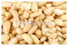 SELL Pine Nut Kernels