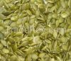 Sell Pumpkin Seeds Kernel