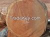 BUBINGA, IROKO, EBONY, MAHOGANY, FRAKE, TEAK, PADAUK, OBECHE LOGS, SAWN TIMBER, VENNERED BUBINGA