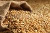 Millet, Soybean/soybean meal, Barley, wheat grain