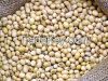 Coriander seed, cotton seeds, fish meal, flax seed, Soybean
