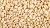 pine nuts, Pistachio nut, Sweet Pine Nuts, peanuts and other nuts, Raw Cashew Nut