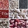 Light Speckled Kidney Beans, Black, Red, White Kidney Beans