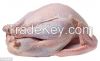 Grade ''A'' Frozen Whole Chicken Griller