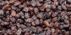 DRIED RAISINS/ SEEDLESS RAISINS