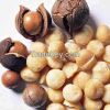 Hazel Nuts and Macadamia Nuts