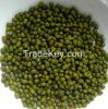 Green Mung Beans, Fresh, Frozen and Dried.