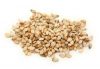 High Quality Natural Healthy & White Sesame Seeds