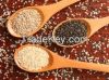 Sesame Seeds , Hemp seed , Pumpkin seeds , Coriander Seeds