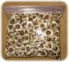 Moringa Seeds