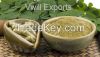 Orgaic Moringa Oliefera Powder and Capsule