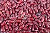 Simcha Kidney beans