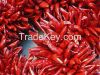 red Chilli pepper