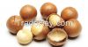 High Quality organic macadamia nuts