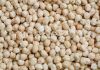 dried chickpeas supplier chick peas