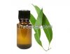Natural and Pure Eucalyptus Essential Oil
