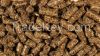 Beef and Cow Cattle Feed