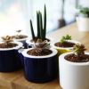 self watering ceramic flower pots