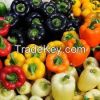 Fresh Capsicums, cassava, carrots, okra, onions