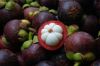 Mangosteen