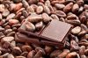 Premium quality Cocoa beans for sale at competitive price.