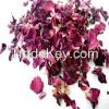 Dry Rose Petals from India
