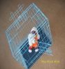 Sell folded dog cages DC011