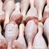 FROZEN HALAL CHICKEN FEET / FROZEN CHICKEN PAWS / WHOLE BRAZILIAN