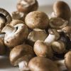 Organic Gourmet Mushroom Oyster Mushroom Black Truffle