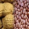 Low Price Refined Peanuts and Groundnuts Available for Sale