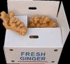 Certified fresh ginger air dried ginger Available