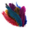 Ostrich Feathers For Sale @ Wholesale Price