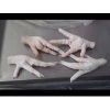 frozen chicken feet