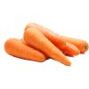 FRESH CARROT