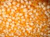 Yellow Corn/ Maize Grade #: 1 (Non GMO)