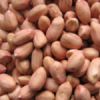 Best Price Of Ground Nuts