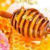 100% Pure Natural Honey For Export!