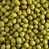 100% PURE PREMIUM QUALITY DRIED GREEN MUNG BEAN