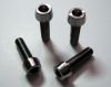 Sell titanium screw /bolt