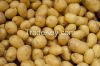 Fresh Organic potatoes