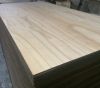 Vietnam high quality Plywood