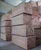 Beech Lumber / elements / components, Oak, Whitewood