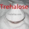 we can supply you Trehalose