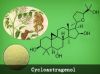 Cycloastragenol 98%