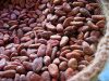 Cocoa Beans