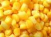 canned sweet corn