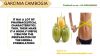 Garcinia Cambogia Pills Reduce Extra Fat