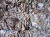 Scrap and waste papers and waste plastics scraps