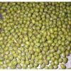 organic mung bean