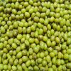 High Quality green mung bean for food